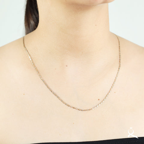 Cadena unisex en oro 10K